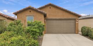 9052 E Pantano Bluff Drive 9052 E Pantano Bluff Drive Gallery 1