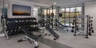 The Wexley at 100 Gallery 22