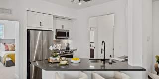 Town Treeline Gallery 22