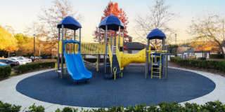 The Reserve at Sugarloaf Apartments Gallery 20