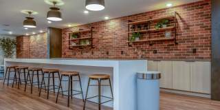 Vineyards Gallery 76