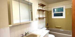Unique Home in Columbia Neighborhood - 4+ Bedroom 3 Bath - Walnut St Gallery 15