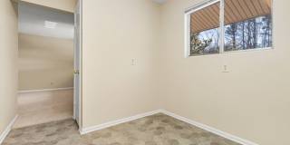 Two bedroom updated paint, carpet washer/dryer included in unit - Immediate Move In Gallery 8