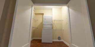 The Ambassador at Library Square Gallery 15