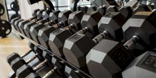 The Gauge Gallery 24