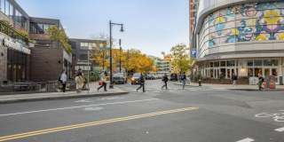 Van Ness Gallery 20