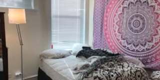 3155 North Pine Grove Avenue Gallery 2