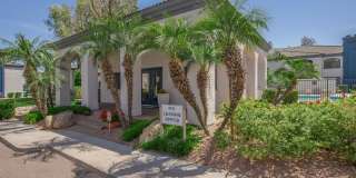 Rise Suncrest Gallery 48
