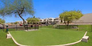 Cortland Scottsdale Mountain Gallery 32