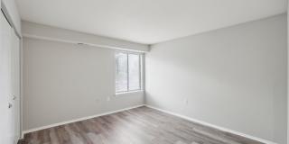 Grove at Alban Gallery 23