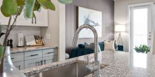 Avasa Spring Branch Gallery 22