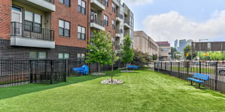 The View at Old City Gallery 29