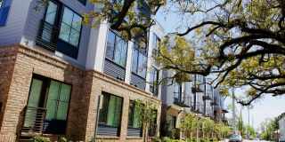 Park and Broad Gallery 32