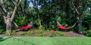 Woodview Gallery 40