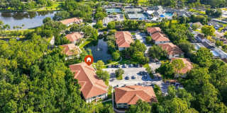 Furnished Ground Floor Corner Unit - Palm Harbor! Gallery 31
