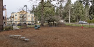 Jory Trail at the Grove Gallery 16