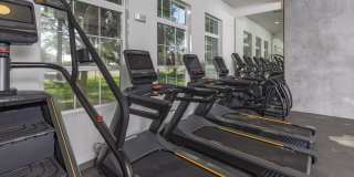 Azola South Tampa - Apartment & Townhome Gallery 6