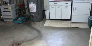 Nandale - Yellow Gallery 21