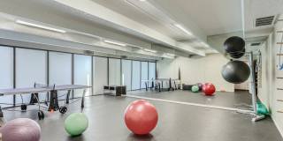 The Paramount Gallery 6