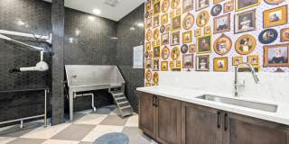 The Campbell Gallery 7