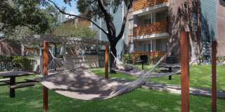 Sky at Salado Creek Gallery 2