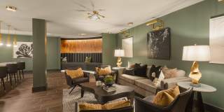 Alta Avondale Gallery 31