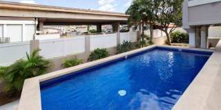 1134 Kinau Street unit: 706 Gallery 11