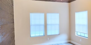 Woodlawn Beauty! Gallery 13