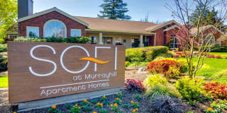 Sofi at Murrayhill Gallery 1