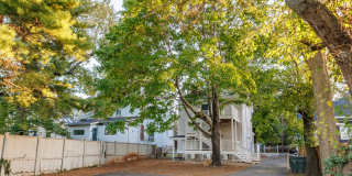 716 W Maxwell St, #3 Gallery 6