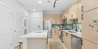 NoHo Flats Gallery 23