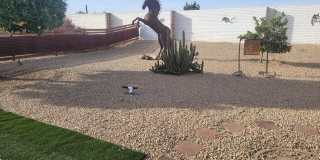 9702 W CAMPANA Drive Gallery 27