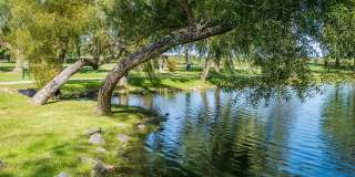 Foxridge Apartment Homes Gallery 36