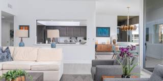 447 Desert Lakes Drive Gallery 8