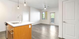 Olympus Alameda Gallery 13