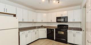 ReNew Druid Hills Gallery 12