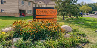 Somerset Oak Gallery 14