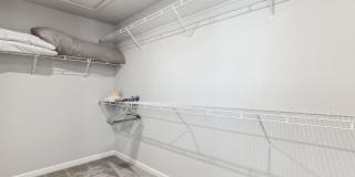 Spacious 3BR Townhome in Lutz Gallery 13