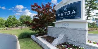 Vetra at Hamilton Place Gallery 41