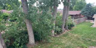 Great 3 Bedroom 1 Bath in Loveland! Gallery 14