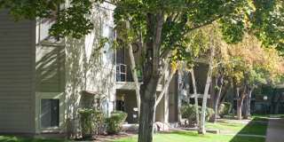 James Pointe Apartments Gallery 25