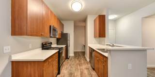 McKenzie at Natomas Park Gallery 4