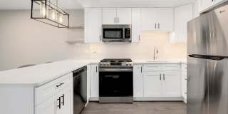 Modern, Tranquil, High-End Apartment in Downtown Downers Grove Gallery 1