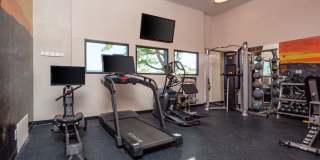 Puerta Del Sol Gallery 18