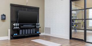 Monterra Gallery 8