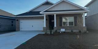 Brand new 5BR/3BA with Amenities Galore Gallery 1