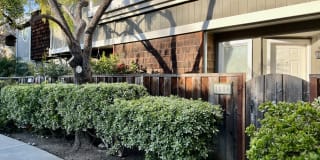 1186 Bird Ave Gallery 1