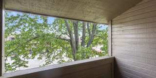 1711 E Walnut Lawn Street Gallery 21