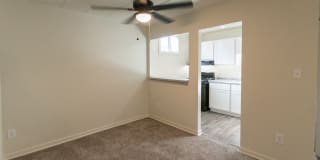 College Woods Gallery 32