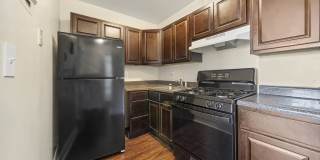 Virginia Arms Gallery 4